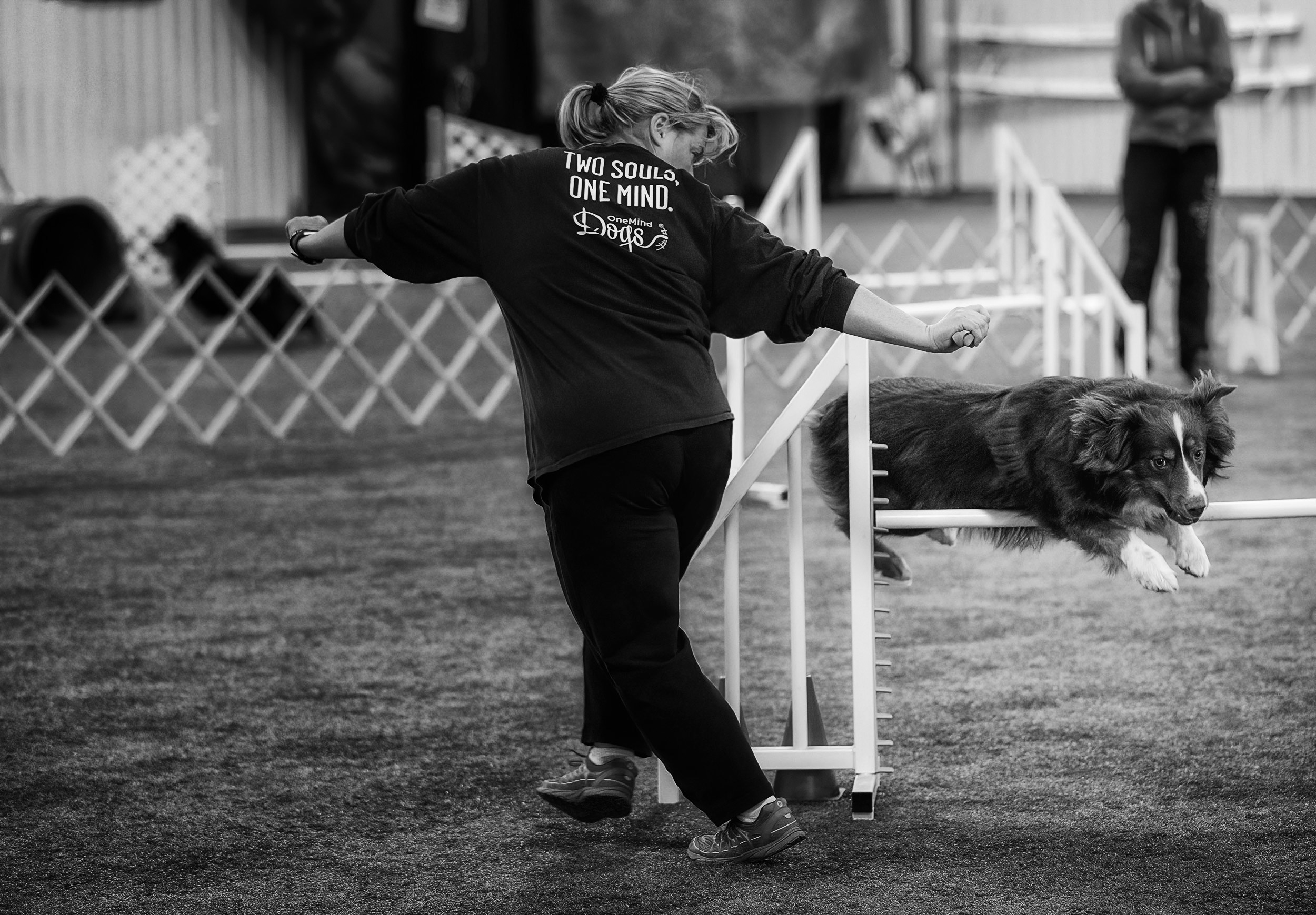 Agility handler queuing her border collie to jump black and white photo. 