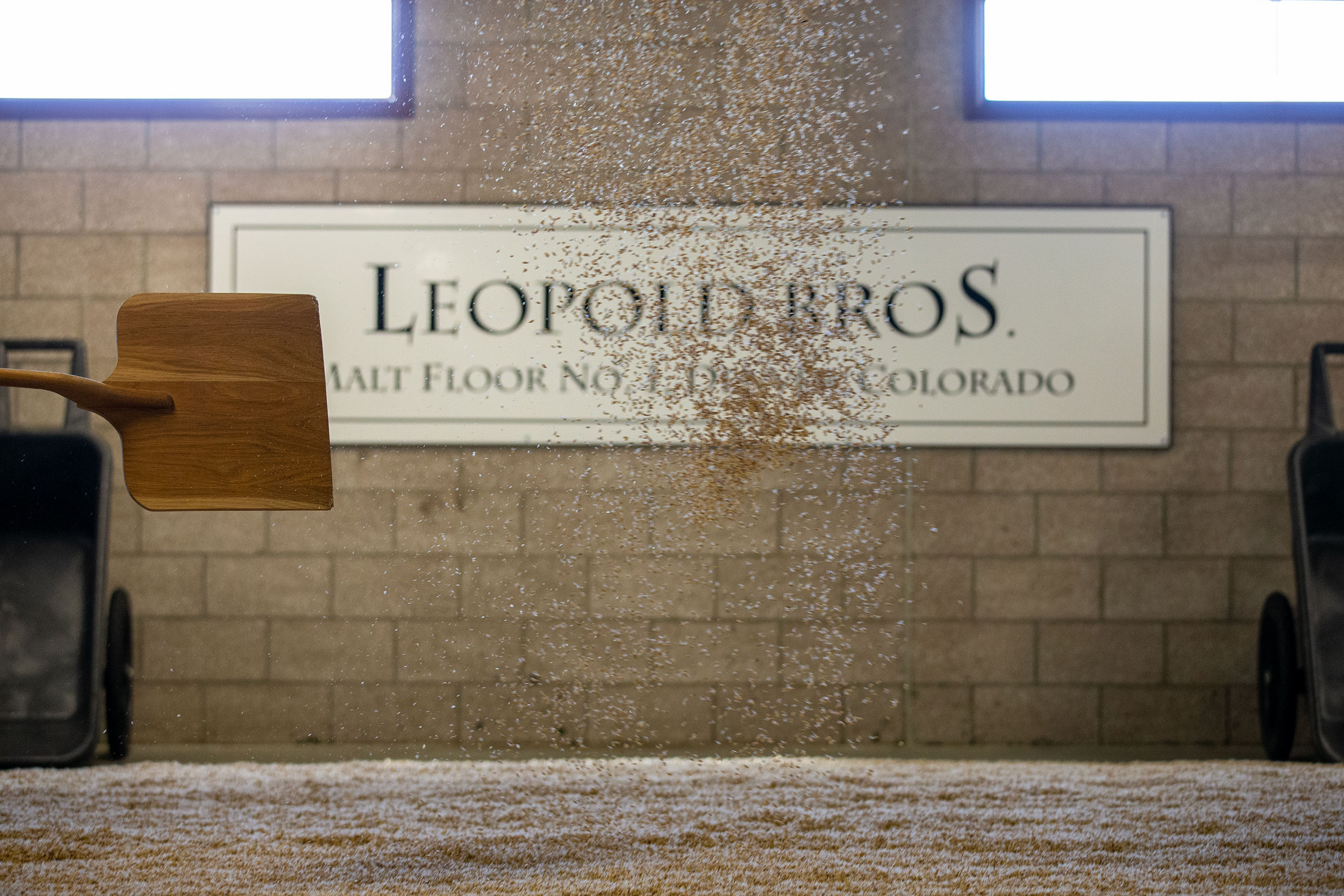 Turning grain for distilling whiskey at Leopold Whiskey for Distilled Magazine