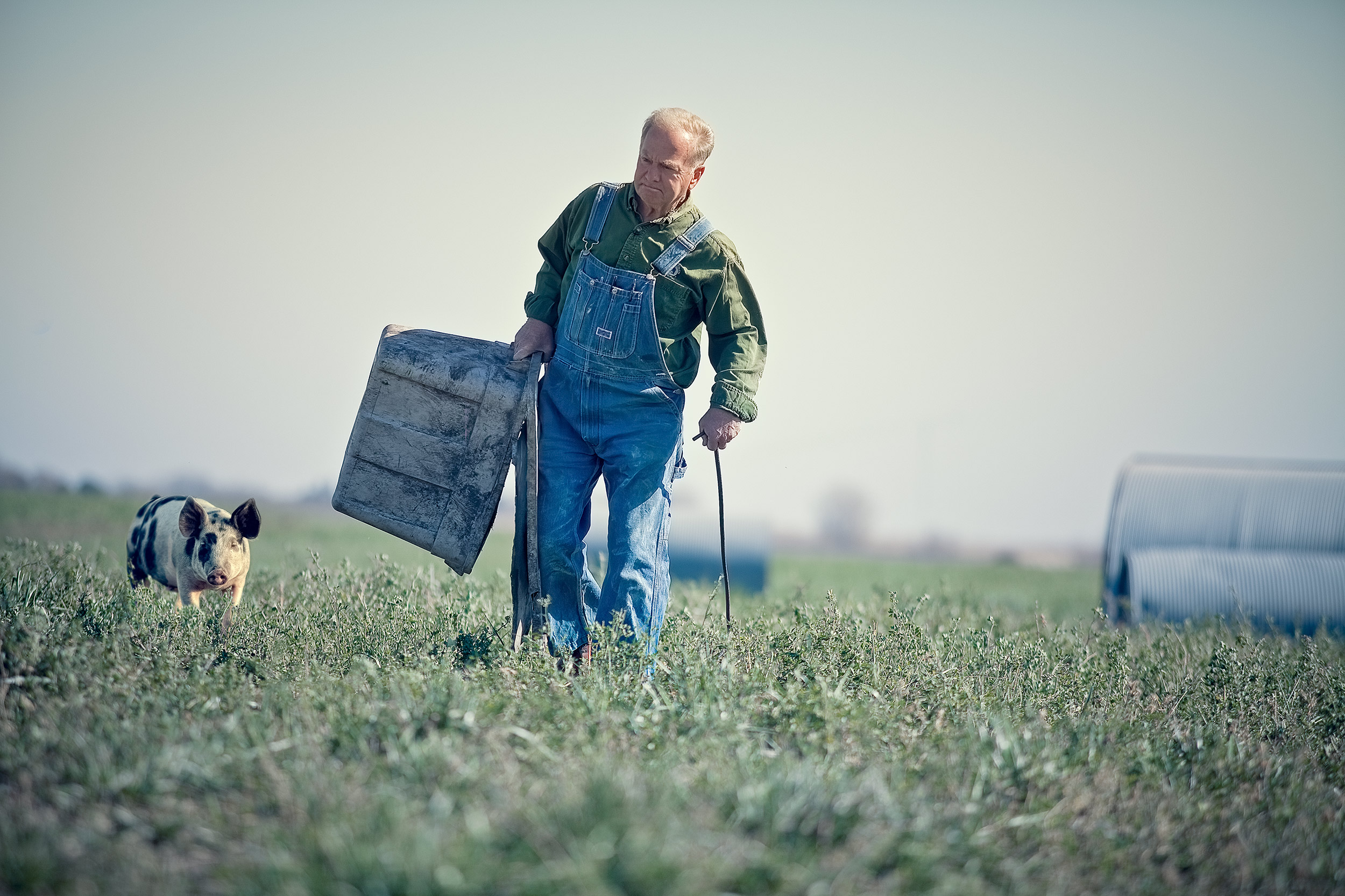 Willis Walking Agriculture Photography pig farmer walking in field with piglet and bucket