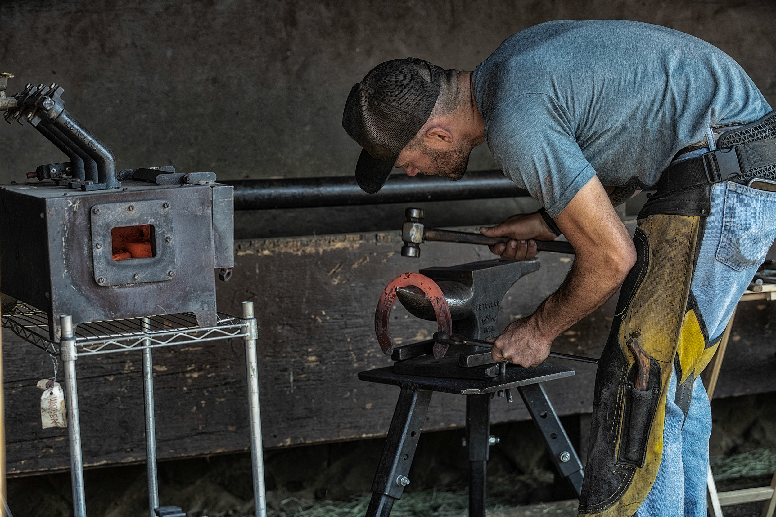 Farrier adjusting a hot shoe for fit. Livestock and agriculture photography