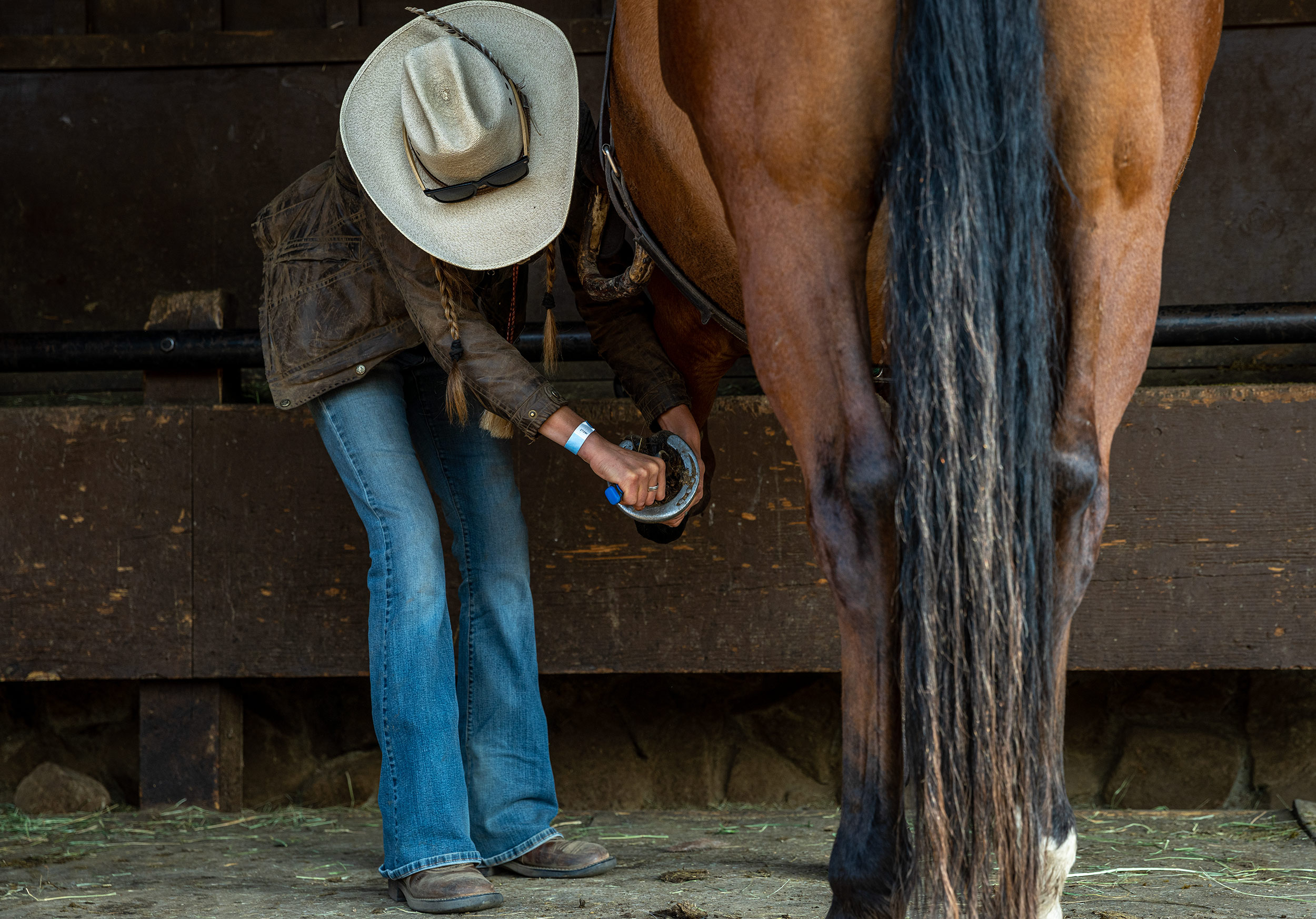 Cowgirl cleaning horse hoof before her ride. Livestock and agriculture photography