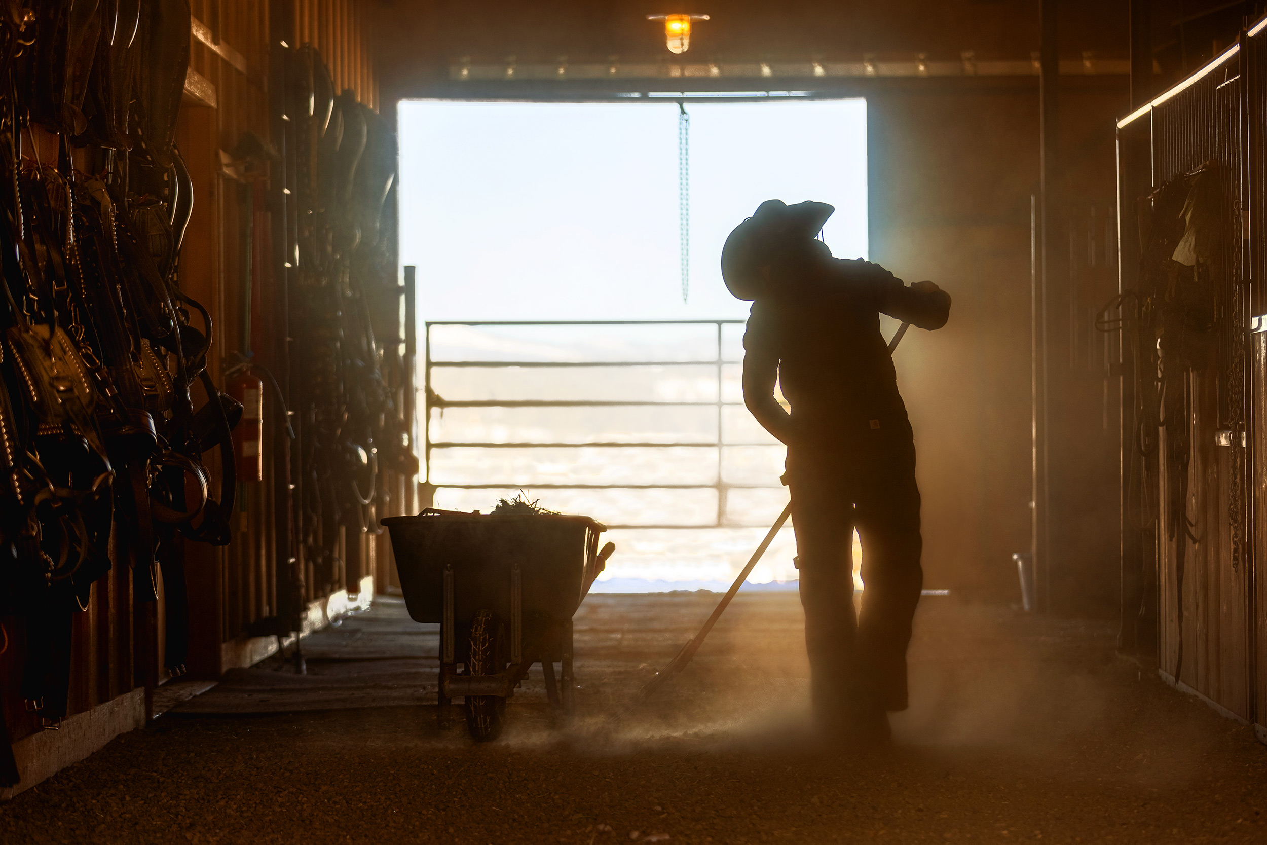 Cowgirl cleaning barn at the end of the day. Livestock and agriculture photography