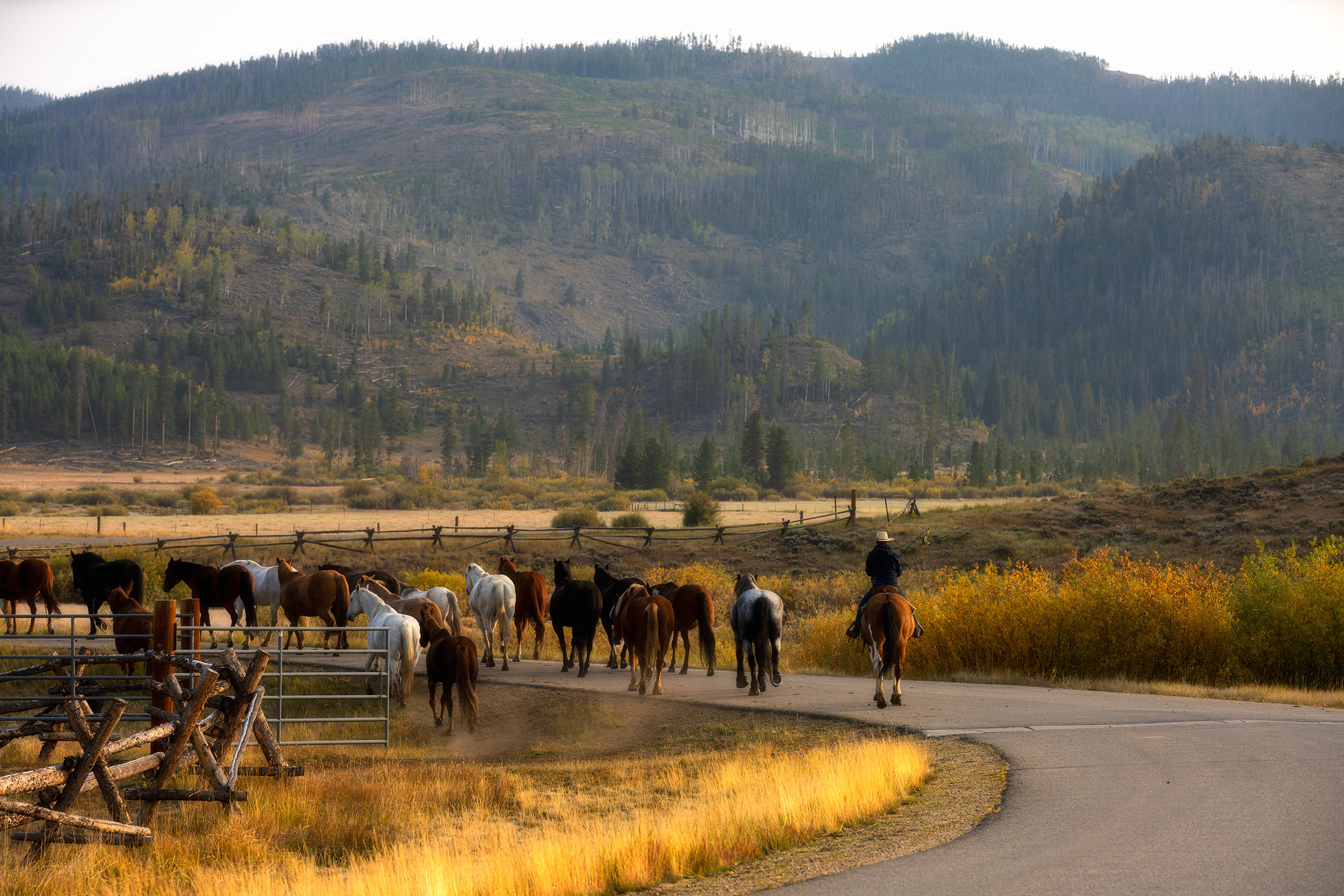 Cowgirls bringing in the horses for the evening. 