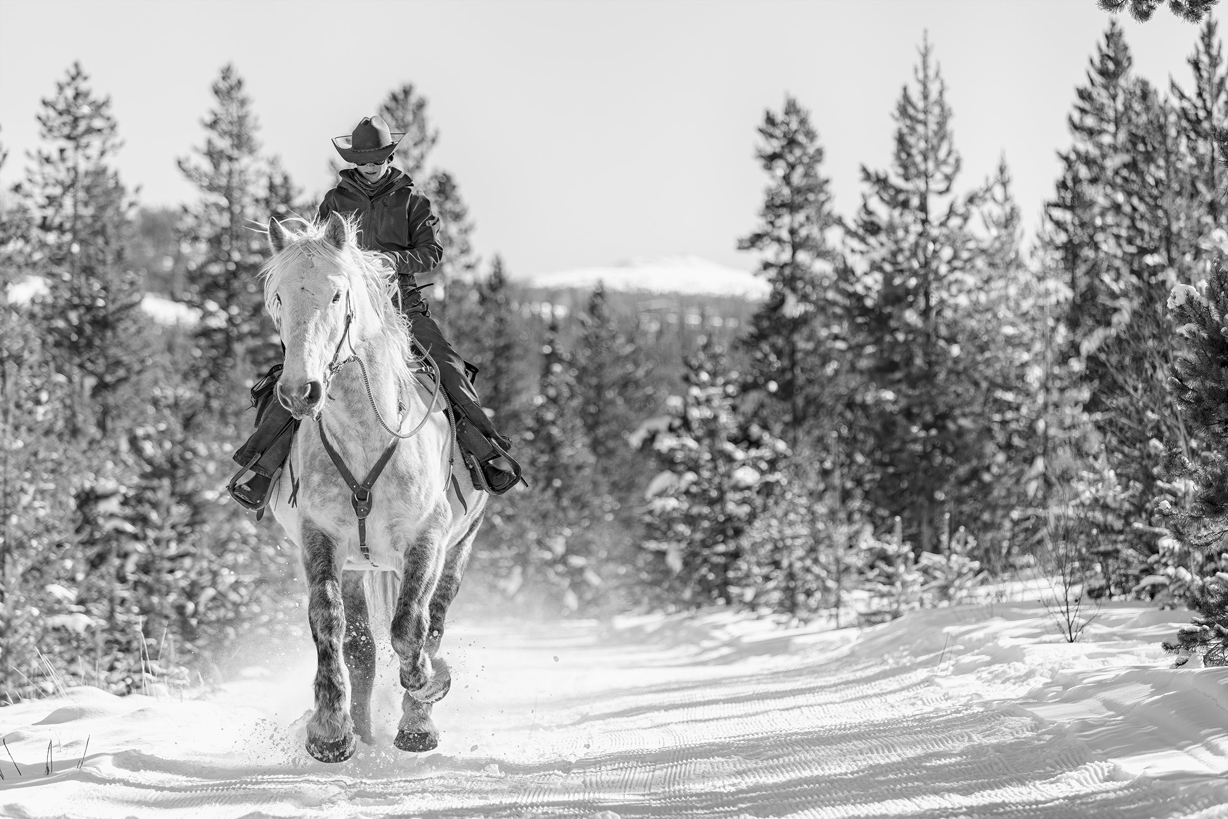  Black and white photo of a Cowgirl riding horse thru the snow in woods. Agriculture and livestock photography.