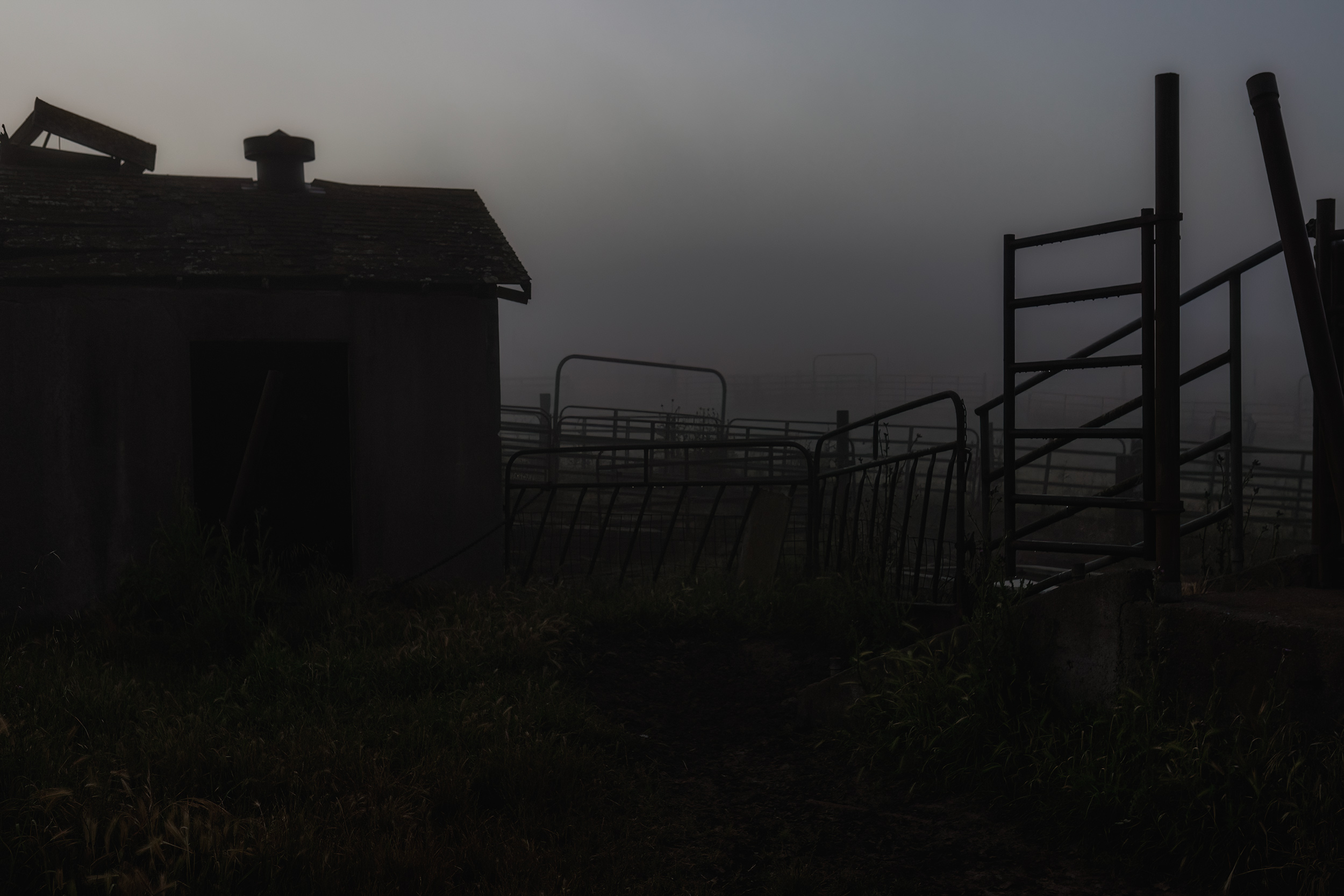 Fog silhouettes a barn and fence before dawn. livestock and agriculture photography