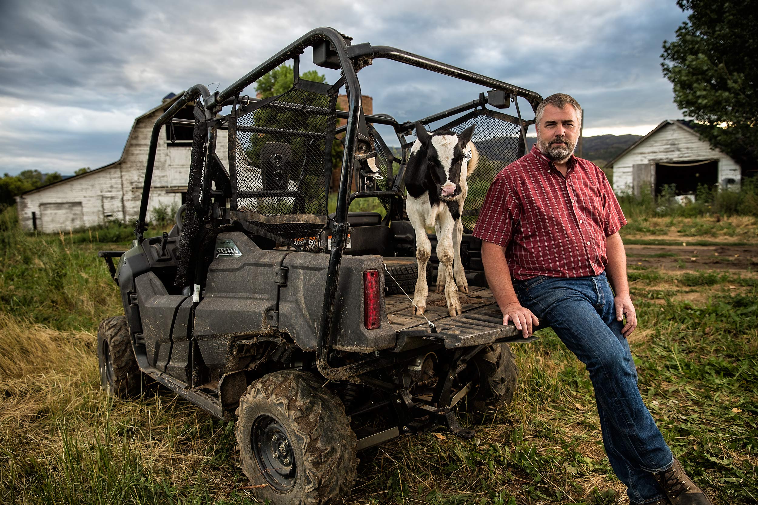 Dairy farmer and half owner of Noosa Yoghurt with calf by barn on four by four. Livestock and agriculture photography