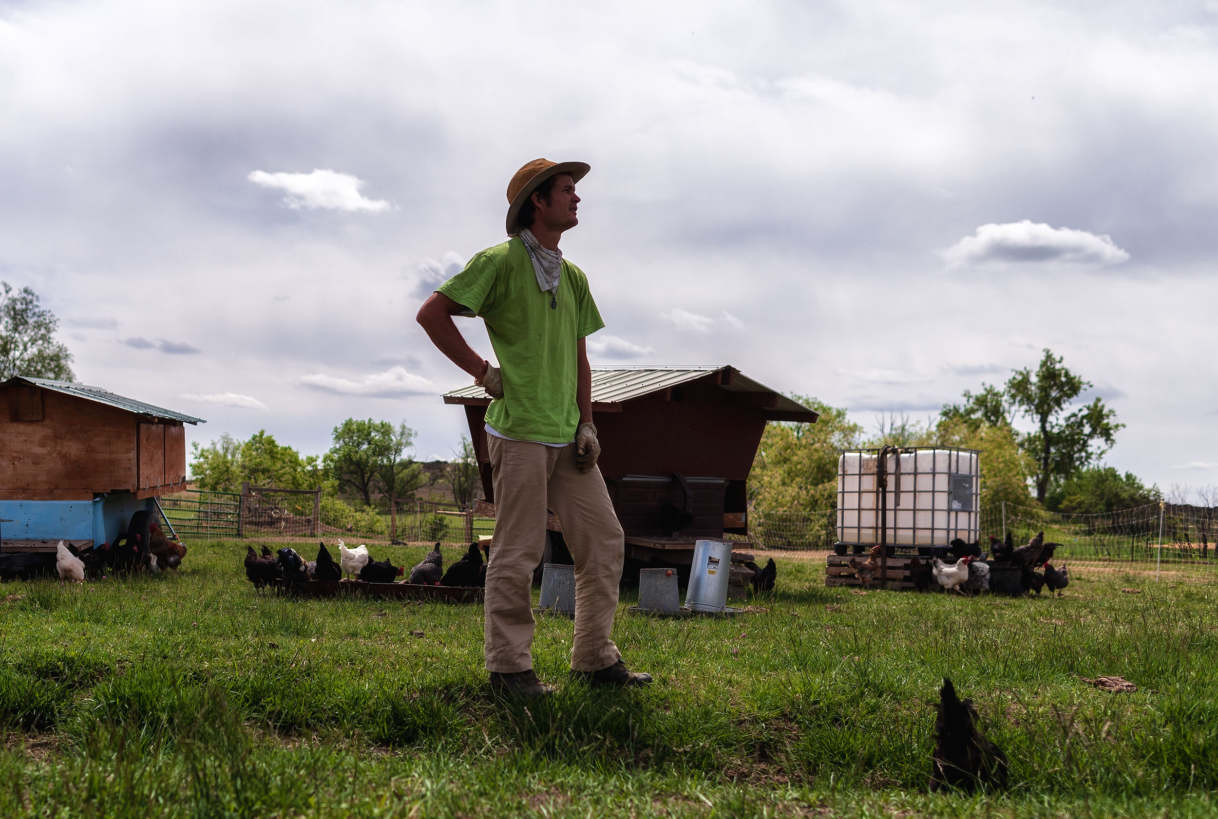 Portrait of farmer in front of his free range mobile chicken coops. Livestock photography