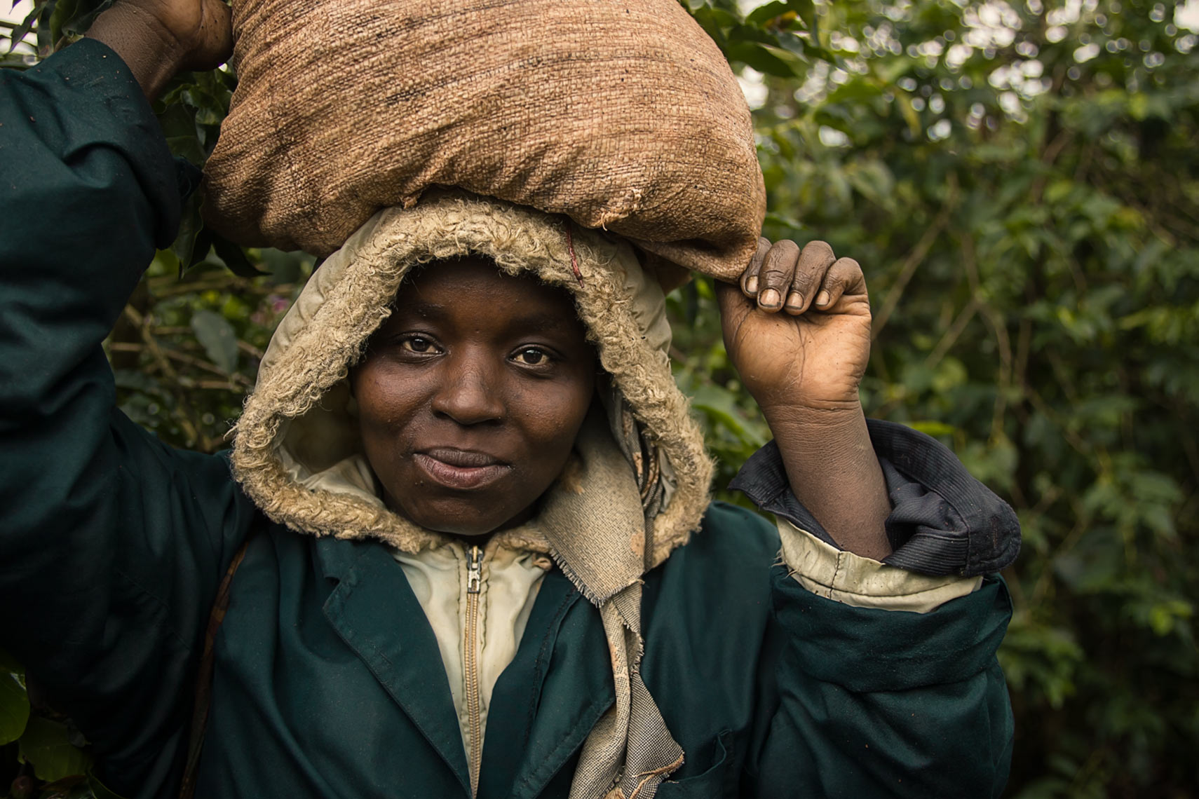 Sofinof Coffee Estate Ruiri Kenya female Coffee Picker with sack of coffee cherries on her head. 
