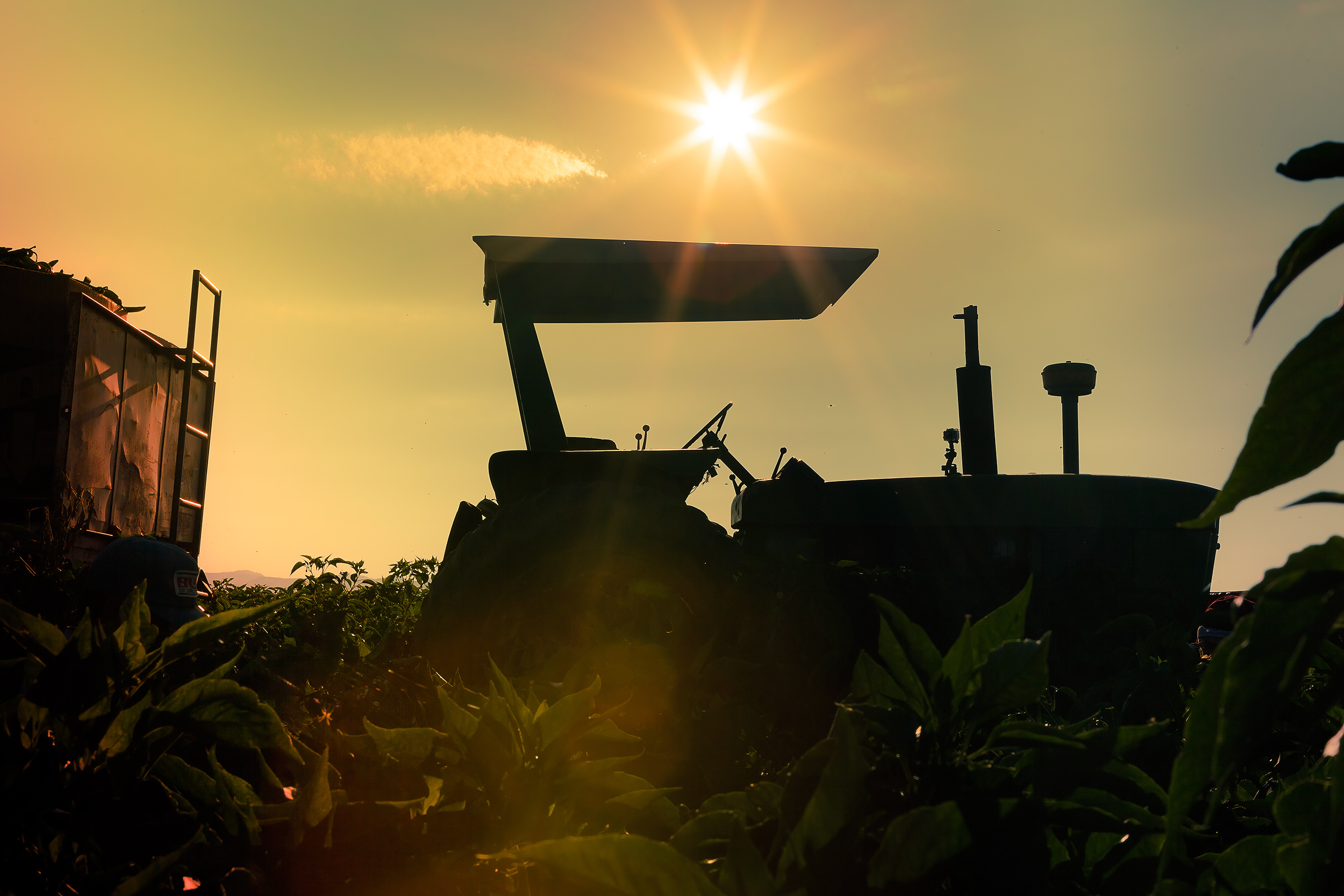  silhouette of tractor in field with sun flare. agriculture photography