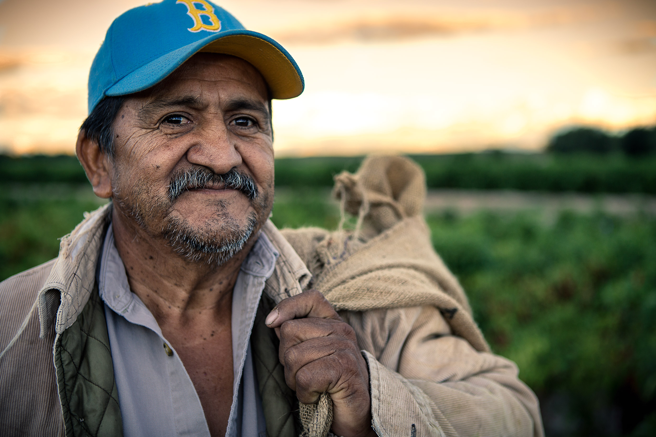 Agriculture Photography male crop worker portrait close blue cap