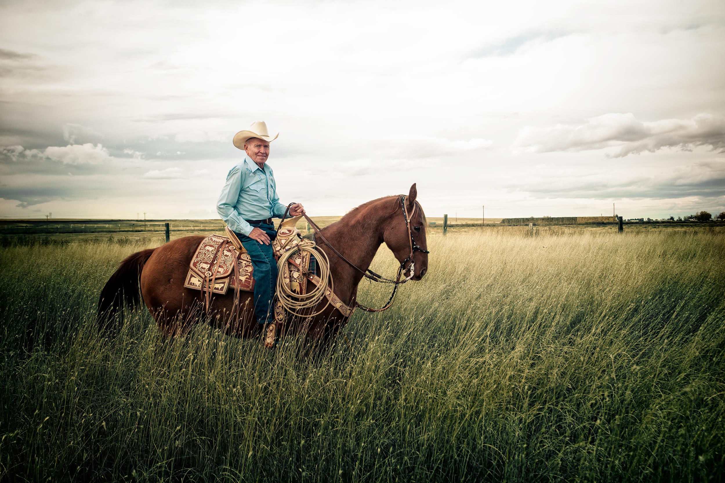 Cowboy and his horse in green pasture. Livestock photography