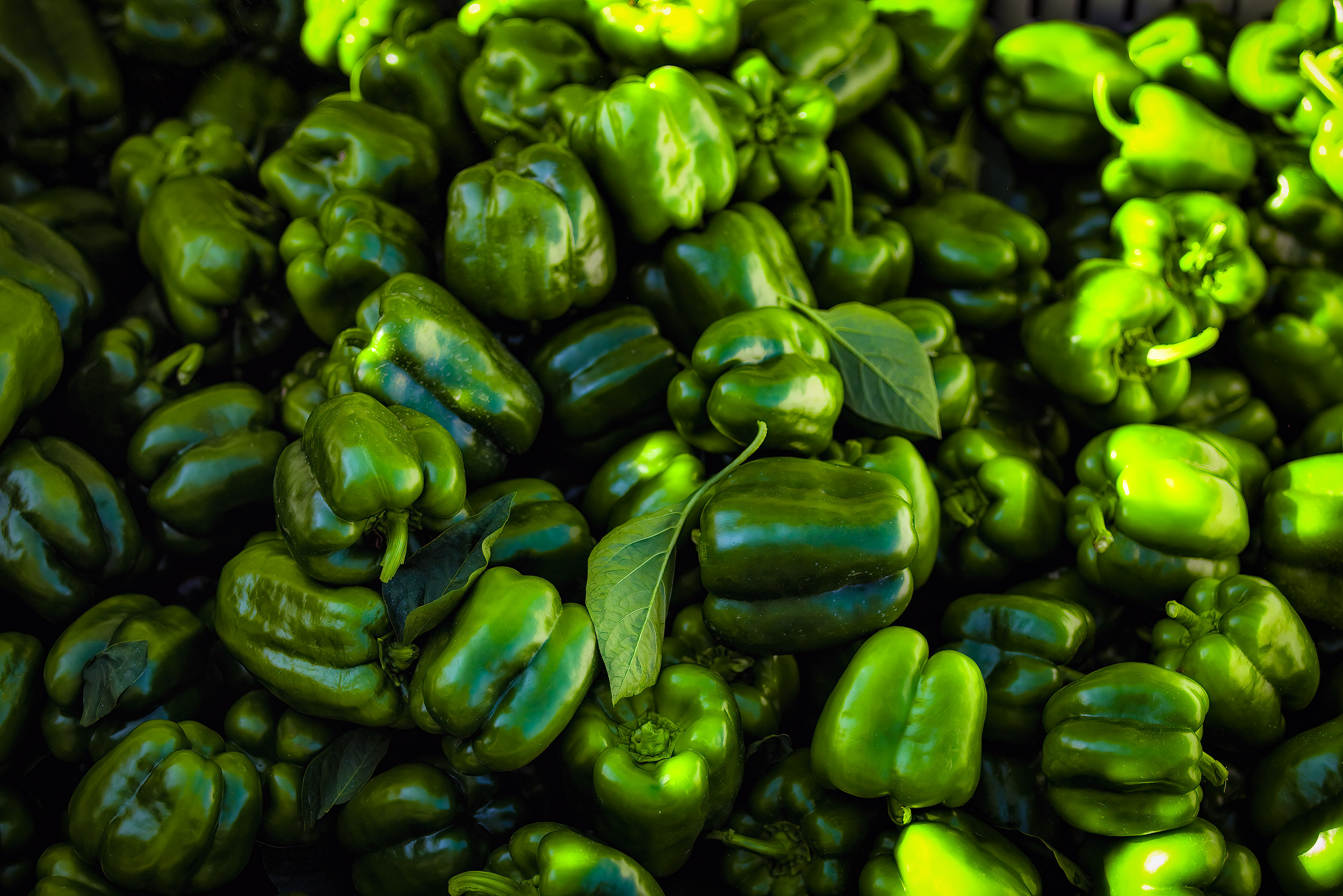 A pile of green peppers. agriculture photography.